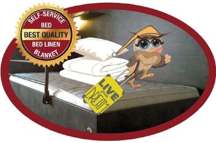 Single Bed 24-Bed Dormitory Room